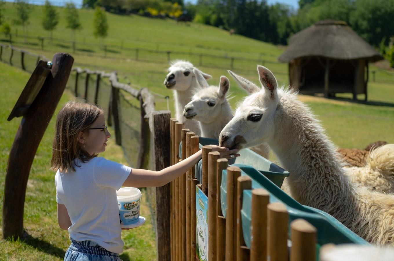 Farmapark Soběhrdy